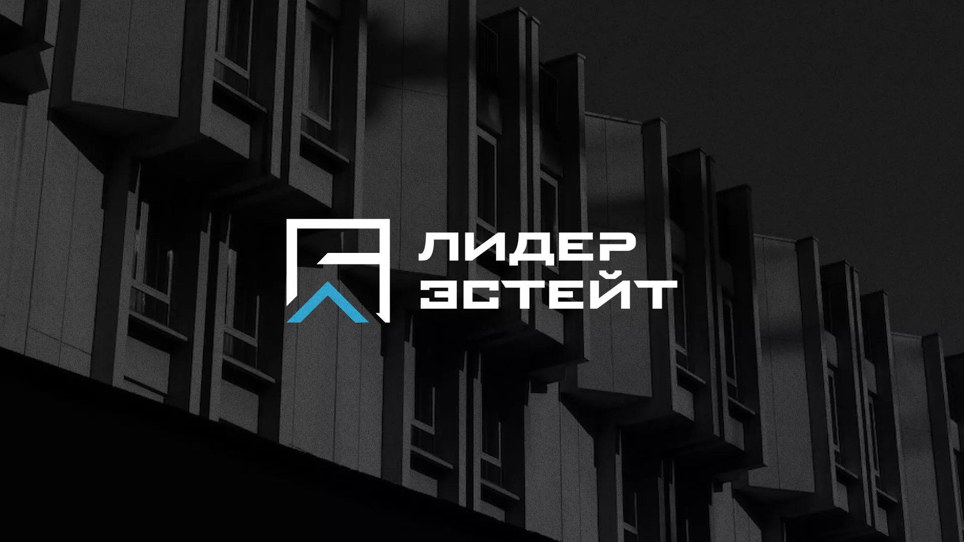 Разработка логотипа агентства недвижимости «Лидер Эстейт» в Костерёво