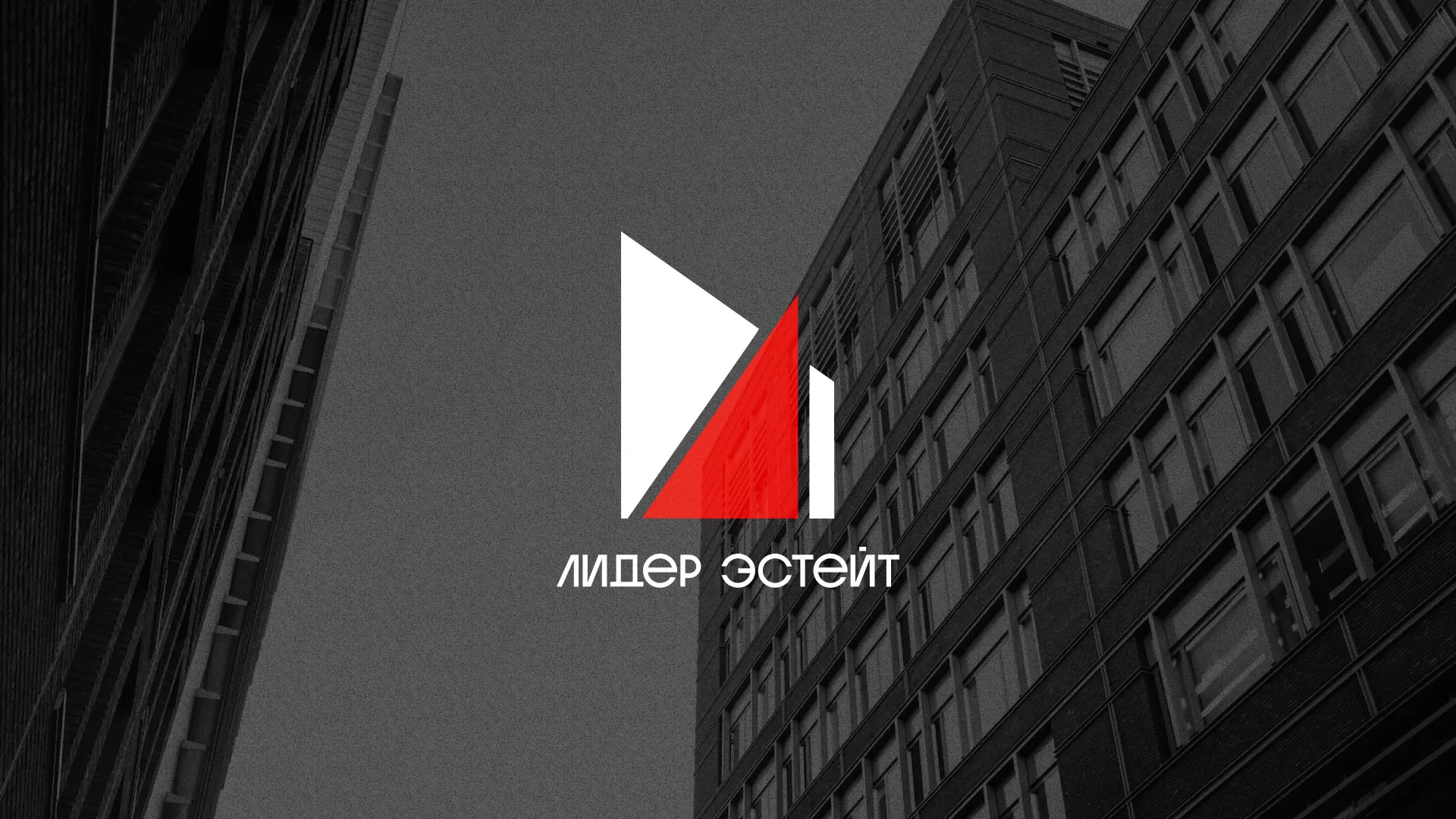 Сделали логотип для агентства недвижимости «Лидер Эстейт» в Костерёво